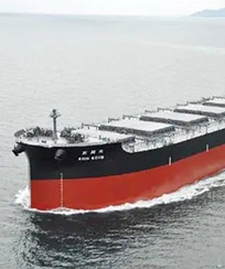 2015年國內(nèi)沿海貨運(yùn)船舶運(yùn)力分析